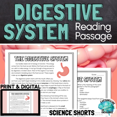 The Digestive System Reading Comprehension Passage PRINT and DIGITAL's featured image