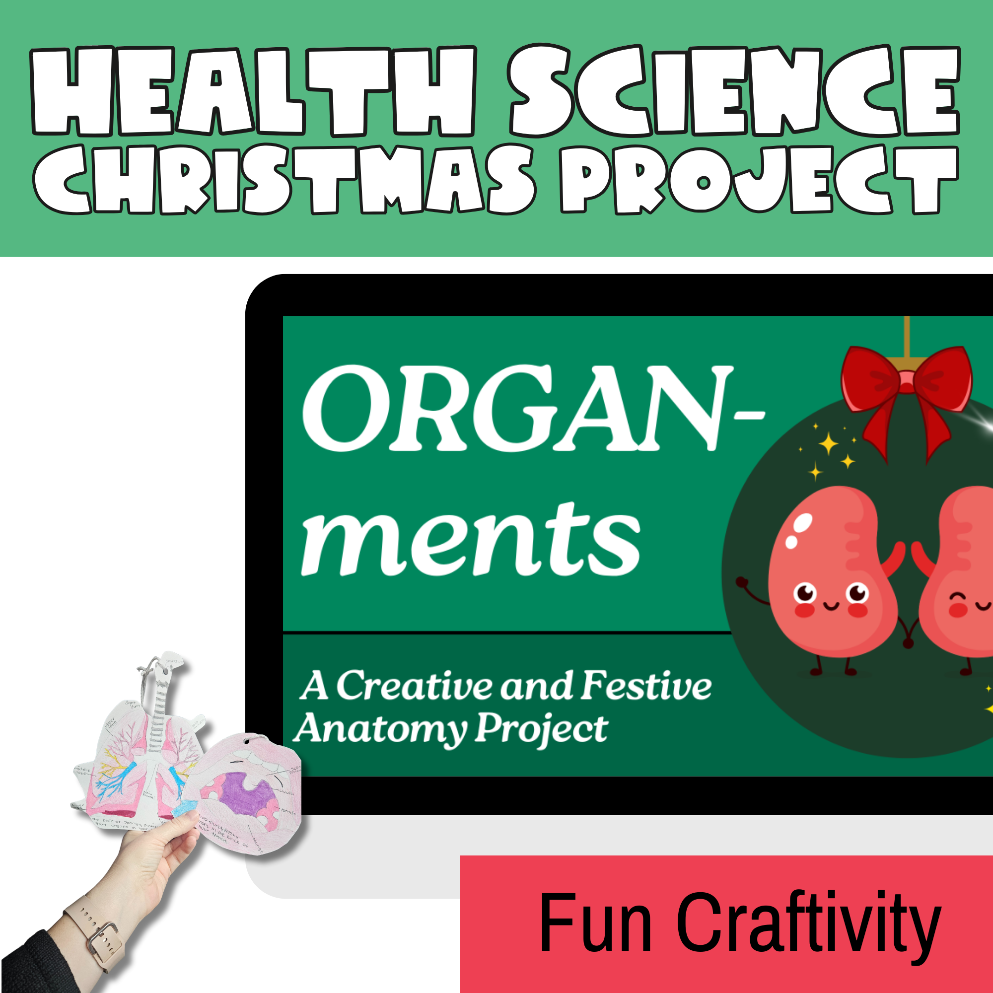 Health Science and Anatomy Christmas Activity - Organ-ments