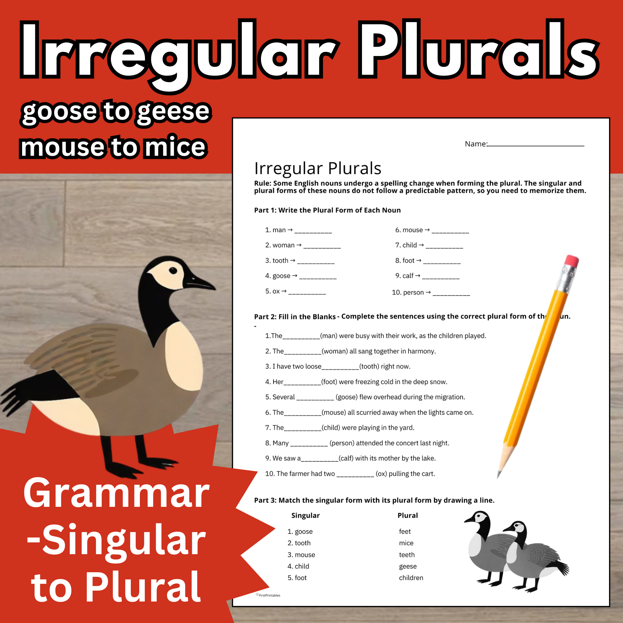 Grammar Worksheet Irregular Words Singular to Plural Grammar 