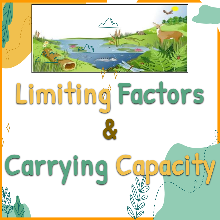 Limiting Factors &amp; Carrying Capacity VIRTUAL Interactive Google 