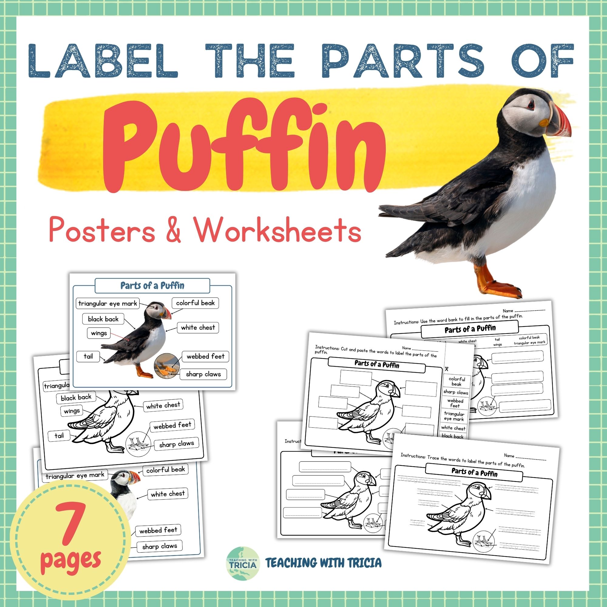 Tundra Biome - Label the Parts of Puffin- Posters & Worksheets, Bird ...