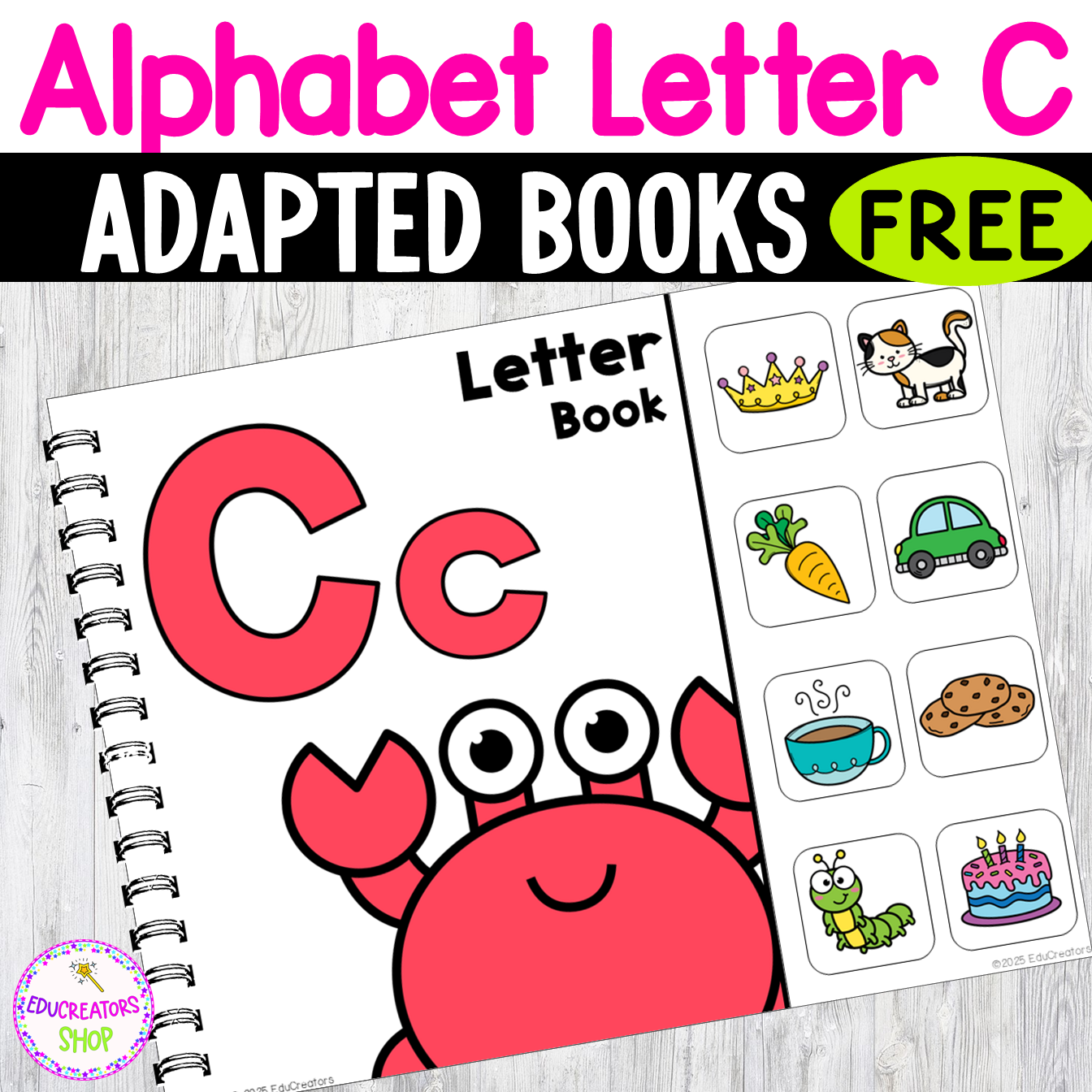 alphabet-adapted-interactive-books-for-special-education-for-esl-and-autism-classful