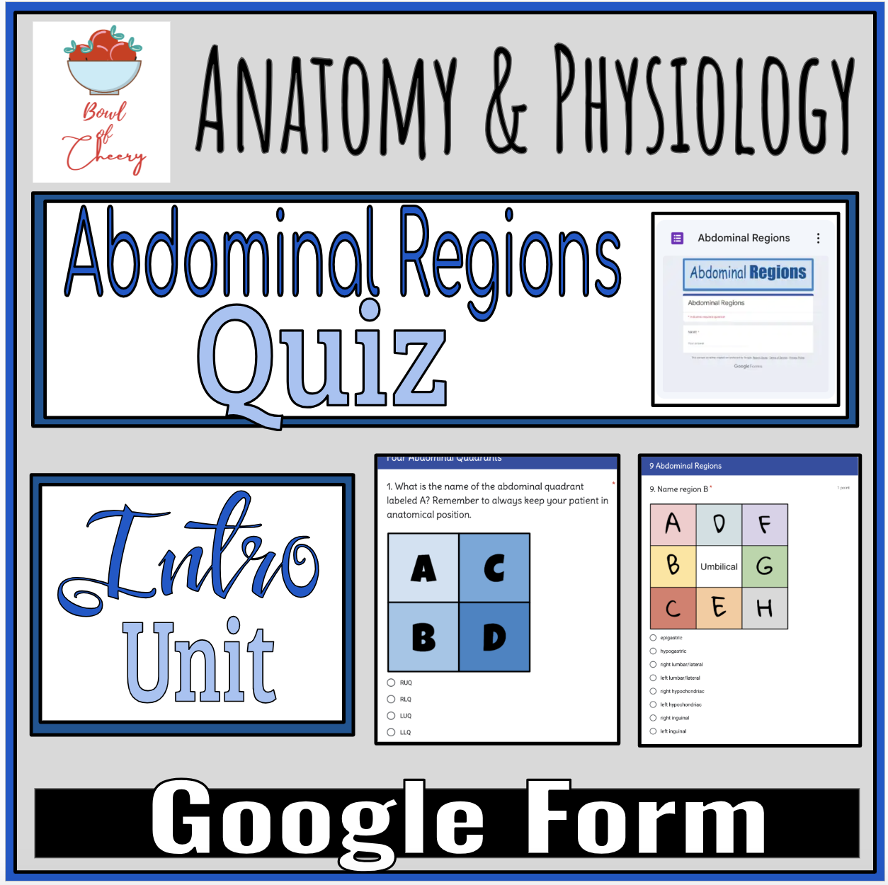 Abdominal Regions Google Form Quiz