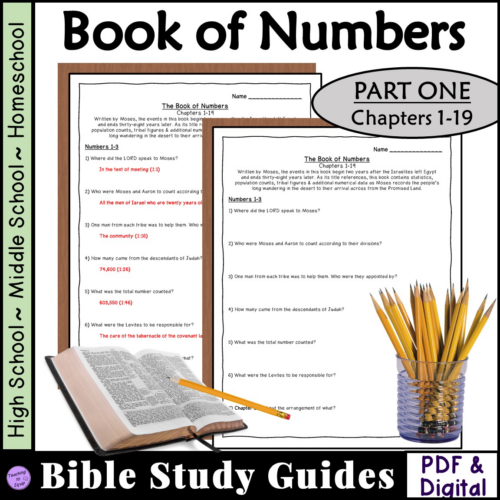 Bible Study Questions Book of Numbers (Ch 1-19) Worksheet Lesson Activity's featured image